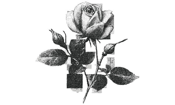 Retro vintage stipple effect rose flower vector illustration for grunge collage posters, surreal 90s aesthetic, psychedelic tattoo art, halftone grainy texture, floral punk design, gothic