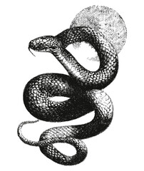 Vintage stipple halftone effect collage of a snake, with retro grainy texture and photocopy style. Vector illustration for 90s grunge psychedelic surreal tattoo or poster, cobra art,