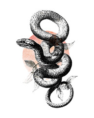 Obraz premium Vintage stipple halftone effect collage of a snake, with retro grainy texture and photocopy style. Vector illustration for 90s grunge psychedelic surreal tattoo or poster, cobra art,