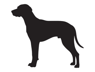 HUNGARIAN VIZSLA DOG SILHOUETTE