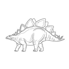 Fototapeta premium Stegosaurus Dinosaur Outline Illustration