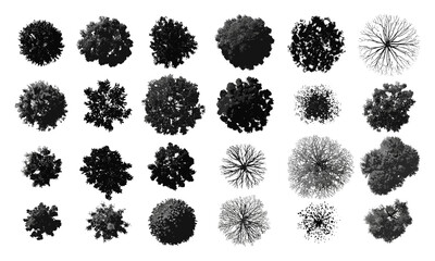 Silhouette collection of treetop views, diverse foliage patterns ideal for architectural plans, landscape design, and urban planning visualization with botanical vector elements, aerial perspective