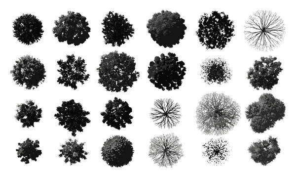 Silhouette collection of treetop views, diverse foliage patterns ideal for architectural plans, landscape design, and urban planning visualization with botanical vector elements, aerial perspective