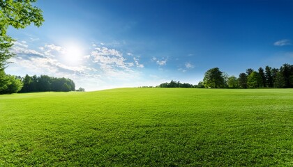 Obraz premium a sunny day creates a picturesque landscape with a green lawn stretching towards the sky leaving ample copy space
