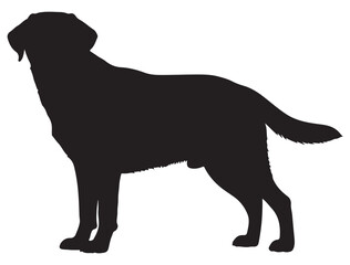 LABRADOR RETRIEVER DOG SILHOUETTE
