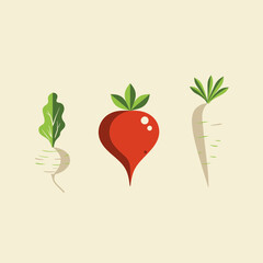 Three types of radishes with green leaves on neutral background  