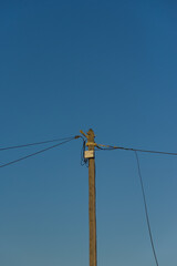A single wooden utility pole with various electrical wires and insulators is silhouetted against a clear, deep blue sky.