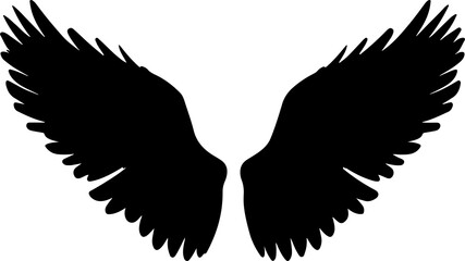 pair of black feathered wings