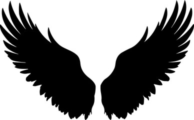Obraz premium pair of black feathered wings
