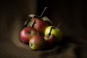 The vibrant colors of the fruits apples