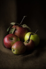 The vibrant colors of the fruits apples