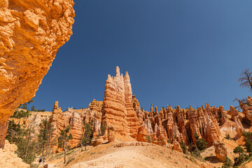 Naklejka premium Bryce Canyon National Park