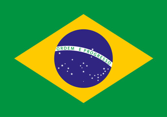 Fototapeta premium The flag of Brazil. Flag icon. Standard color.