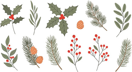 Collection of festive winter foliage and berries isolated on transparent background