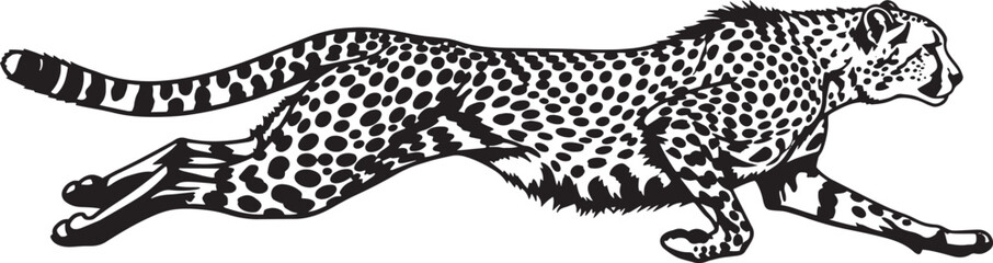Running cheetah black and white illustration, wildlife art