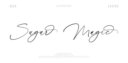 Hand drawn vector alphabet. Modern monoline signature script font. Elegant Signature Font. Best Alphabet Beautiful Calligraphy Signature Font. vector illustration 
