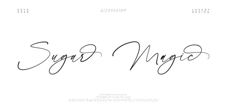 Hand drawn vector alphabet. Modern monoline signature script font. Elegant Signature Font. Best Alphabet Beautiful Calligraphy Signature Font. vector illustration 
