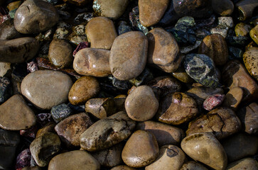 Wet beach stones, background
