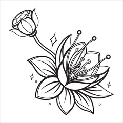 belly-flower-vector