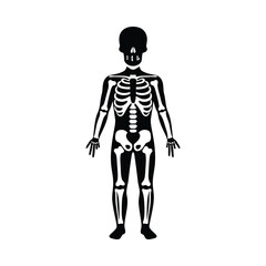 Black human skeleton standing anatomy bone
