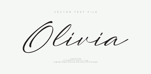 Signature Elegant Branding Typeface. Handwritten Script Editable Text Effect Template . vector illustration 
