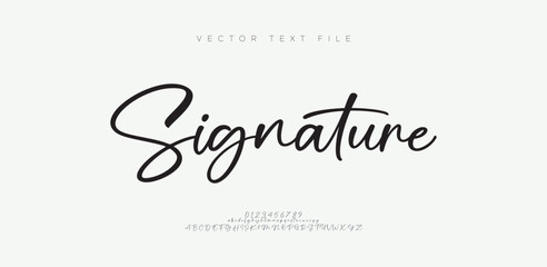 Signature Elegant Branding Typeface. Handwritten Script Editable Text Effect Template . vector illustration 
