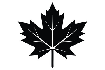 maple leaf vector icon illustration silhouette