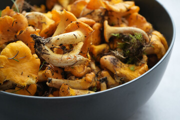 Bowl Filled with Freshly Foraged Chanterelle Mushrooms Ready for Culinary Delights