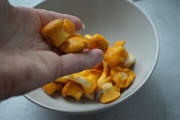 Hand Holding Snack in Bowl  Golden Crunchy Bites, ideal for any casual, fun gathering