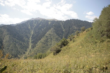 mountain landscape in the summer