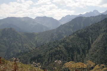 mountain landscape in summer