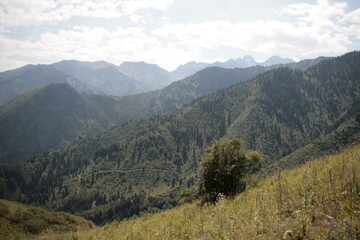 view of the mountains