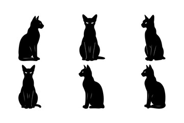 Elegant black cats in various poses isolated on white background