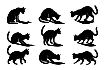 Black cats licking and grooming isolated on white background