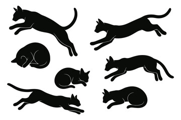 Black cat silhouettes in various poses isolated on white background