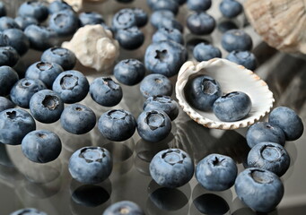 Blueberries and shells on a glass table. Close-up, soft focus.