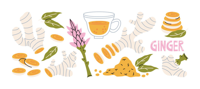 Ginger tea and spice stickers in cartoon style. Ginger root, herbal drink and natural ingredients. Cozy wellness elements inspired by warm beverages, organic spices and healthy lifestyle rituals