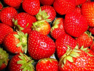 strawberries on a white background