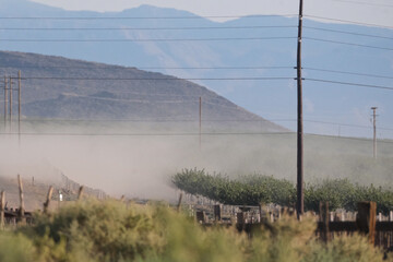 Obraz premium A dusty orchard farm in the southwest in arizona