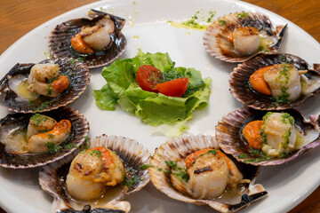 A tempting array of grilled scallops served on a white plate with a fresh salad garnish.