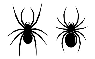 Vector art of two black spiders, isolated on white background