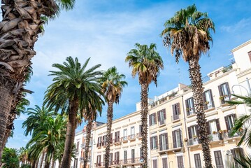 Fototapeta premium Palm trees and Mediterranean architecture under blue sky.