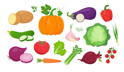 Fresh vegetables icons. Pumpkin, potato, eggplant, tomato and salad, cabbage and paprika, cucumber, carrot and beet, onion and garlic. Vector icons illustration isolated on white background.