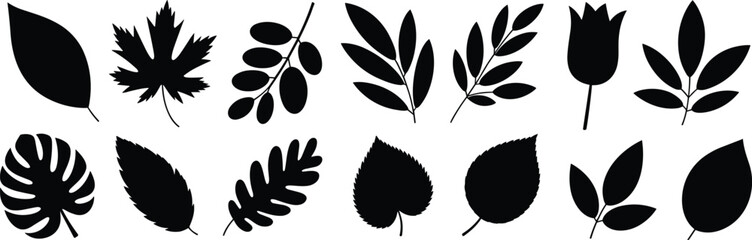 Leaf silhouette set, black vector icons of various plant shapes including flower and compound leaves, botanical design for nature and decoration