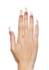 Elegant Floral Design on Hand with Transparent Background, Beauty, Lifestyle, Photography, Studio Setting