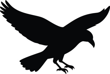 Silhouette captures dark raven descending with outstretched wings against a stark white backdrop
