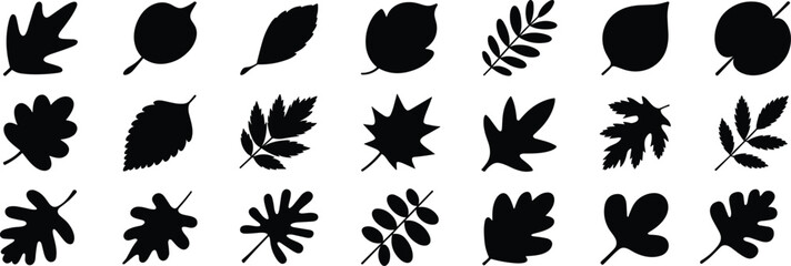 Set of leaf silhouettes, black botanical icons of diverse foliage shapes, isolated vector elements for nature, design, and educational use