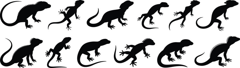 Set of lizard silhouette poses, black reptile vector icons, spiky tail creatures, crawling and standing positions, wild animal illustration