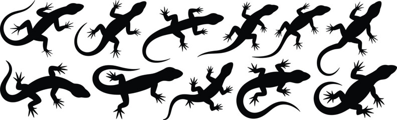 Naklejka premium Set of lizard silhouettes, black reptile icons in dynamic and static poses, vector illustration for nature, design, and wildlife use