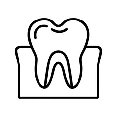 Tooth anatomy dental care oral hygiene dentist teeth molar root enamel gums outline drawing vector